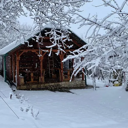 Vasica Grozd 야고디나