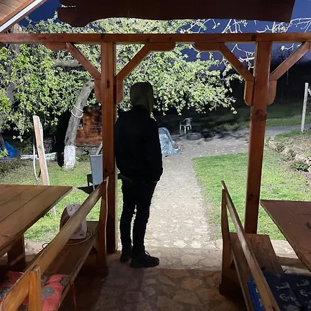 Vasica Grozd 롯지 *