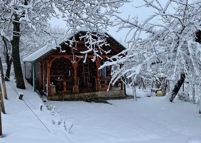 Vasica Grozd Jagodina