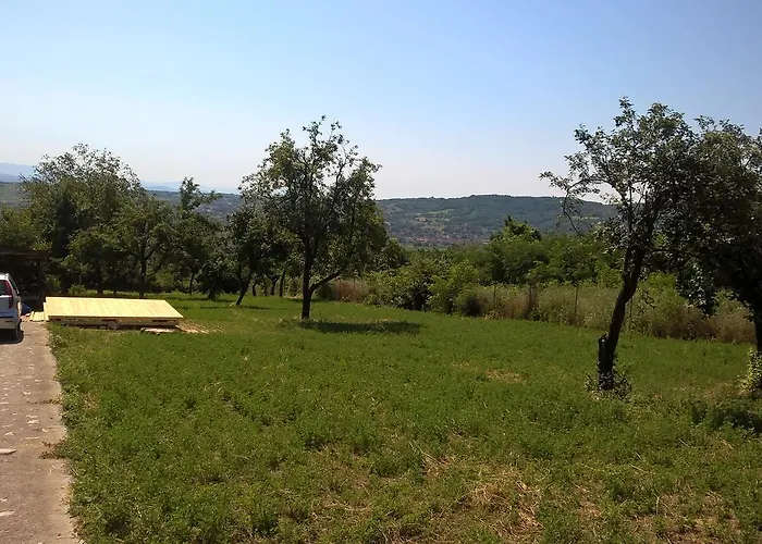 Vasica Grozd Chata *